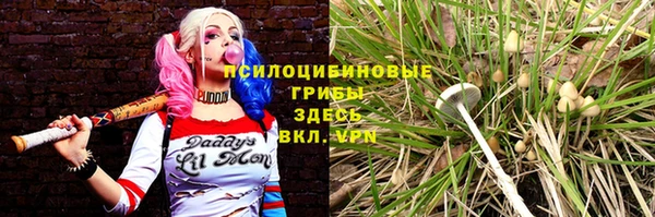 a pvp Алексин
