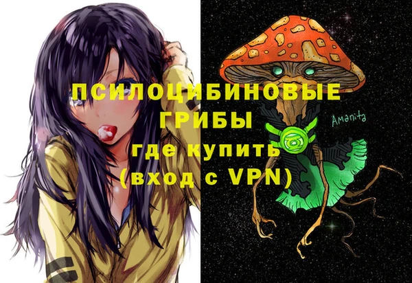 a pvp Алексин