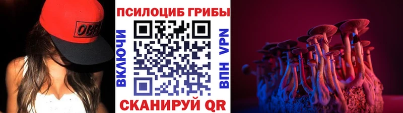 что такое   Микунь  hydra как войти  Псилоцибиновые грибы Psilocybine cubensis 